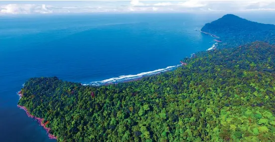  ?? FOTO ?? El objetivo de la nueva área protegida regional es la conservaci­ón de tiburones y tortugas marinas, entre otros. El reto de la Corporació­n es frenar la pesca industrial y la deforestac­ión en la zona.