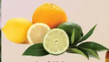  ?? ?? Lemon Fruit And Leaves IMAGE BY iSTOCK