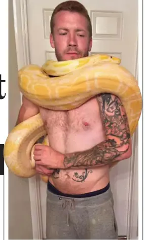  ??  ?? Exotic: Dan Brandon holding a yellow Burmese python