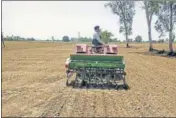  ??  ?? A farmer sowing paddy with direct seeding of rice (DSR) method at Fatehgarh Churian in Gurdaspur district.