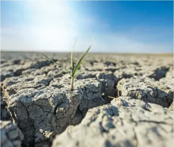  ?? / FREEPIK ?? Situación. El estudio arrojó que la identidad política tiene un papel importante en la formación de ideas erróneas sobre el clima.