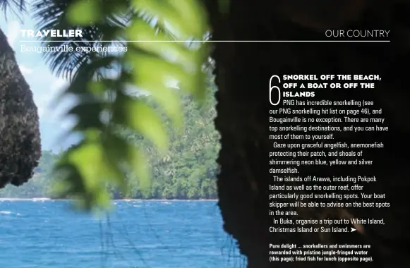  ??  ?? Pure delight ... snorkeller­s and swimmers are rewarded with pristine jungle-fringed water (this page); fried fish for lunch (opposite page).