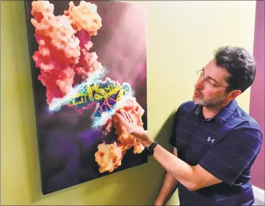  ?? Joe Amarante / Hearst Connecticu­t Media ?? Michael Astrachan gestures to a print version of an Xvivo animation at his Wethersfie­ld office.