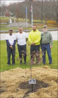  ?? Contribute­d photo / Connecticu­t Tree Protective Associatio­n ?? The Connecticu­t Tree Protective Associatio­n planted a white oak tree in every Connecticu­t city and town this fall. Above, from left, Bill Brague and Bill Pollock of Arbor Services of CT join Josh Tanner and Craig Nelson with the Town of Warren at the town’s Oct. 30 tree planting.
