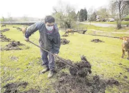  ?? EUROPA PRESS ?? Un joven trabaja su explotació­n ganadera en Galicia.