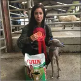  ??  ?? Best in show Italian greyhound Sid with his owner Eamn Almehiri from Lispole at the West Kerry Show.