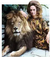  ??  ?? Matching manes: Actress Tippi Hedren with her pet lion Neil