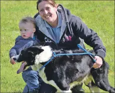  ?? 25_b20sheepdo­g04 ?? Jen McNeish, left, with her 19-month-old son Todd and dog Glen.