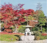  ??  ?? Zur Ruhe kommen können die Düsseldorf­er im Garten des EkoHauses der Japanische­n Kultur. Das Bild ist von Margit Bremicker.