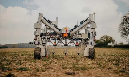  ?? Photograph: Peter Flude/The Guardian ?? Utilising gene editing could help enhance visual recognitio­n of plants by weeding robots.