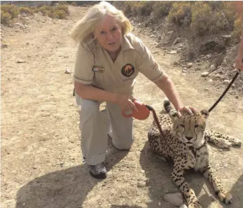  ?? FOTOS: PRIVAT / STALSCHUS ?? Christiane Stalschus bei ihrem Engagement für Geparden im Süden Afrikas.