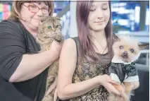  ?? RYAN REMIORZ/THE CANADIAN PRESS ?? Quebec’s oldest cat, Hortense, 21, and dog, Cachou, 17, are shown by their owners Suzanne Janlin and Améliane Bibeau at the Canadian Veterinari­an Convention Friday in Montreal.