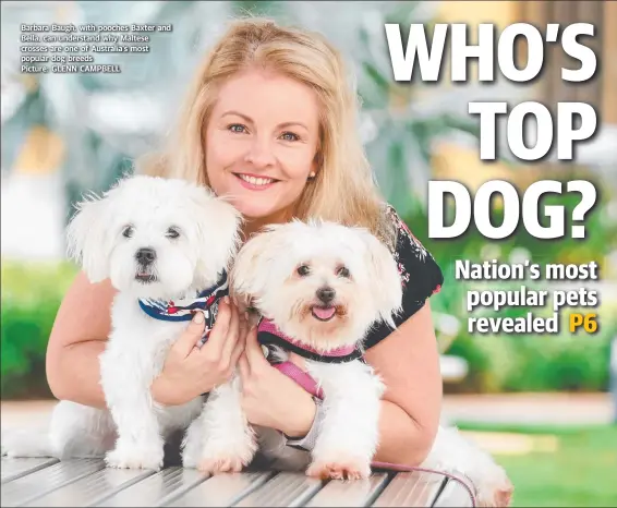  ??  ?? Barbara Baugh, with pooches Baxter and Bella, can understand why Maltese crosses are one of Australia’s most popular dog breeds
Picture: GLENN CAMPBELL