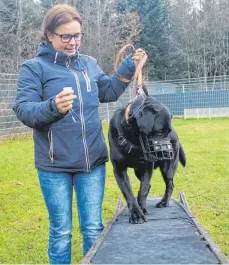  ?? FOTO: FELIX FUTSCHIK ?? Die Leiterin des Kemptener Tierheims, Dr. Patricia Höß, mit dem Labrador-mischling Filou.