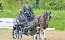  ?? FOTO: STB ?? Für Pferdespor­tbegeister­te ist am Wochenende einiges geboten.