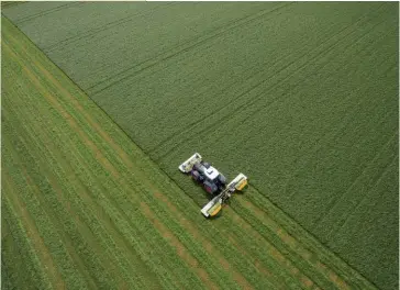  ??  ?? Photo ci-dessus :
En 2016, l’Union européenne était la première puissance agricole mondiale, la valeur de sa production totale s’élevant à 405 milliards d’euros. Selon Eurostat, sept États membres représenta­ient environ les trois quarts de la production agricole totale de l’UE, avec sur le podium : la
France (18 %), suivie de l’Allemagne (14 %) et de l’Italie (13 %). (© Shuttersto­ck/RikoBest)