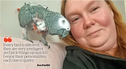  ?? ?? Problem Parrots’ welfare manager for the south west Zoe Parfitt with Jack, her adopted African Grey