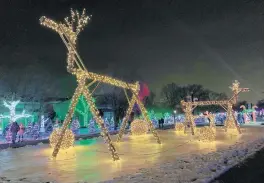  ?? ?? Brookfield Zoo is gearing up for the return of Holiday Magic with some free admission days and an ice rink.