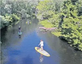  ?? RED HUBER/ORLANDO SENTINEL ?? Paddleboar­ders and a kayaker paddle up the Wekiva River.