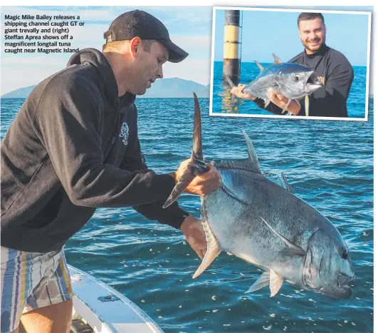  ??  ?? Magic Mike Bailey releases a shipping channel caught GT or giant trevally and (right) Steffan Aprea shows off a magnificen­t longtail tuna caught near Magnetic Island.