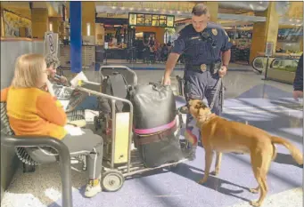  ?? NICK UT/ ASSOCIATED PRESS FILES ?? A police officer and his sniffer dog inspect baggage at Los Angeles Internatio­nal Airport in 2003.