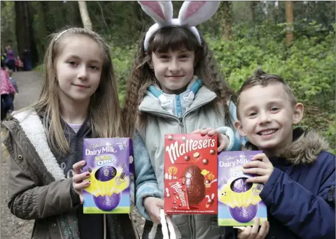  ??  ?? Sophia Siklody, Emma Surmova and Erik Surma at the Newtown Tidy Towns Easter Egg Hunt in the Coillte Woods.