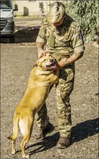  ?? COURTESY PHOTO CAPT. STEVE LEWIS, BRITISH ARMY AIR CORPS ?? Airtrooper Best, of the 653 Squadron of the British Army Air Corps, makes fast friends with one of the dogs at the Humane Society of Imperial County Saturday morning.