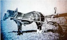  ?? Repros: Marcus Merk ?? Hermann Schmid bei der Feldarbeit im Jahr 1951. „Max“, eines der Pferde auf dem Hof, zog den Rechen, mit dem das Feld abgeharkt wurde.