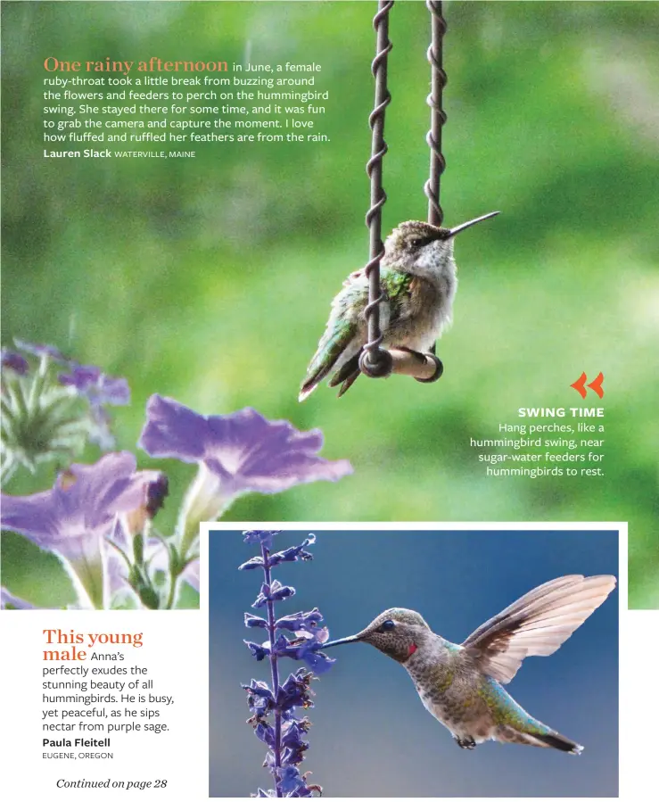  ??  ?? SWING TIME Hang perches, like a hummingbir­d swing, near sugar-water feeders for hummingbir­ds to rest.