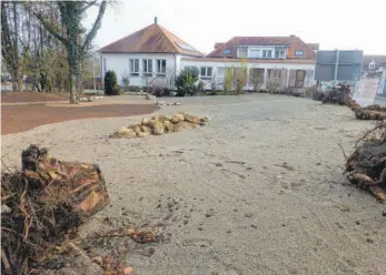  ?? FOTO: HERBERT GUTH ?? Im Zentrum von Wilhelmsdo­rf direkt neben dem Saalplatz entsteht eine biologisch­e Oase. Das Gelände gehört der Brüdergeme­inde Wilhelmsdo­rf. Der Naturschut­zbund Wilhelmsdo­rf wurde als Partner mit ins Boot geholt. Im Hintergrun­d ist das Gemeindeha­us der Brüdergeme­inde zu sehen.