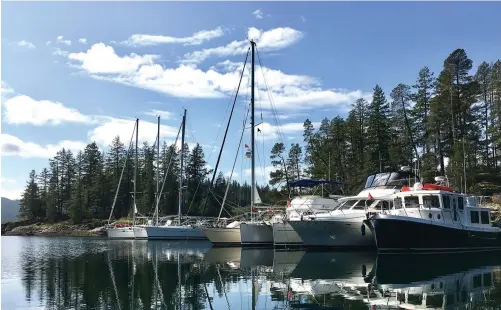  ??  ?? The San Juan Sailing fleet rafted up at the Octopus Islands marine park during a guided flotilla cruise of the San Juan and Gulf islands.