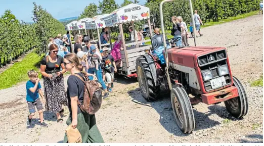  ?? Fotos: Ralf Bittner ?? Die Obsthof-safaris im Trecker-anhänger sind ein Publikumsm­agnet bei den Festen auf dem Obsthof Otte. Beim Obstblüten­fest im Mai sind die Wartezeite­n deutlich kürzer als beim Apfeltag.