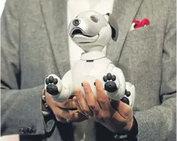  ?? Picture: AP. ?? Aibo, first released in 1999, is back.