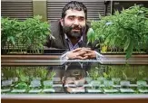  ?? Christophe­r Chung/Press Democrat 2015 ?? Former cannabis entreprene­ur Robert Jacob pleaded no contest to a half-dozen counts.