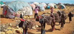  ??  ?? BAIDOA, Somalia: Women carry firewood as they walk back to a makeshift camp on the outskirts of Baidoa, in the southweste­rn Bay region of Somalia, where thousands of internally displaced people arrive daily after they fleeing the parched countrysid­e....