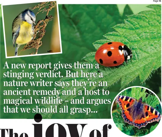  ??  ?? Happy in the stingers: A small tortoisesh­ell butterfly, a ladybird and a blue tit