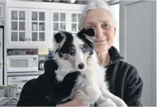  ?? MICHAEL ROBAR • THE GUARDIAN ?? Terry D. Stevenson holds Jesse, her five-month-old Shetland puppy, in her Charlottet­own home on Jan. 8. Jesse gave Stevenson a scare earlier this month after ingesting marijuana while walking on the Confederat­ion Trail. The puppy had to be taken to the Atlantic Veterinary College for an emergency procedure to induce vomiting.