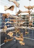  ?? Foto: Marcus Golling ?? Knochen mit Botschaft: ein Blick in die Ausstellun­g „Vieh“des Augsburger­s Ma ximilian Prüfer.