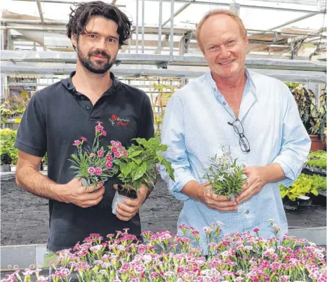  ?? FOTO: OLAF WINKLER ?? In der Gärtnerei von Lukas Hauf (links) in Simmerberg lässt Richard Petri die Pflanzen vor dem Versand kultiviere­n.