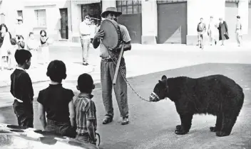  ??  ?? Por las calles de la Ciudad de México, un domador con su pandero hacía bailar al oso que lo acompañaba en los años 70.