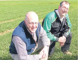  ??  ?? Douglas Bonn, left, and Craig Norrie in the field of Zulu wheat.