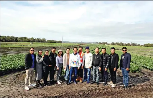  ?? CCC ?? Vice-president of The Cambodia Chamber of Commerce (CCC) Lim Heng and his delegation visit a vegetable farm in Victoria, Australia on May 5.