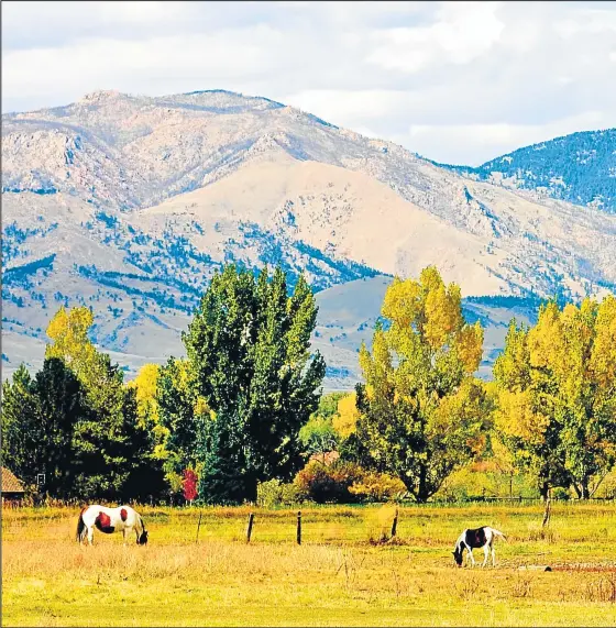  ??  ?? VIDA ECOLOGICA. Esta postal al pie de las montañas de Colorado podría ilustrar cualquier manual de la vida campestre. Y así fue para el movimiento Cha