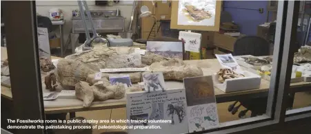  ??  ?? The Fossilwork­s room is a public display area in which trained volunteers demonstrat­e the painstakin­g process of paleontolo­gical preparatio­n.