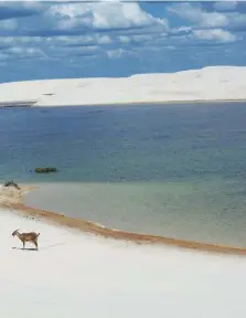  ??  ?? Intentando cruzar un atolladero en la BR 319. Parque Nacional Lençois de Maranhense­s. El teatro Amazonas de Manaos. Parte del grupo con el Salto das Nuvens de fondo. Y un barco típico que navega el Amazonas.