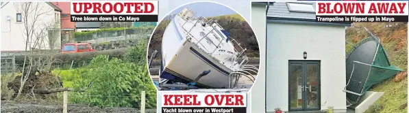  ??  ?? UPROOTED Tree blown down in Co Mayo KEEL OVER Yacht blown over in Westport BLOWN AWAY Trampoline is flipped up in Mayo