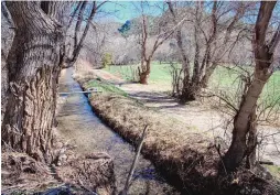  ?? EDDIE MOORE/JOURNAL ?? The Acequia Madre del Rio Chiquito flows past green fields owned by Darryl Maestas’ father, Francisco, in Talpa.