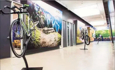  ?? Contribute­d photo ?? Cannondale bicycles are on display at the company’s Wilton headquarte­rs.