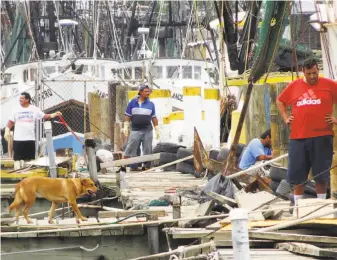  ?? Miguel Roberts / Associated Press ?? A shrimp crew docks in Brownsvill­e as Hurricane Harvey approaches the Texas coast. With the potential for up to 3 feet of rain, 125 mph winds and 12-foot storm surges, Harvey could become the fiercest hurricane to hit the United States in almost a...