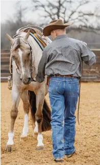  ??  ?? If your goal is to compete in showmanshi­p, pay attention to how responsive your horse is to your cues on the ground. Ideally, your horse should move out of your personal space if you ask him to back up. If he doesn’t move, you know you’ll have to focus more time on ground work.